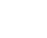 Steele Hunter Logo